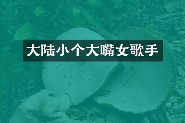 大陆小个大嘴女歌手