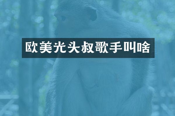 欧美光头叔歌手叫啥