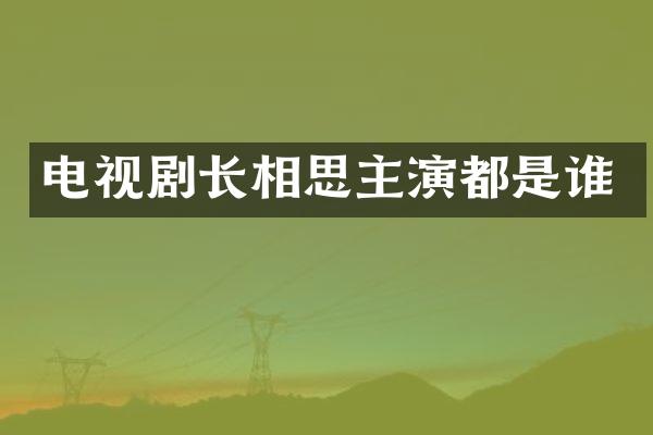 电视剧长相思主演都是谁