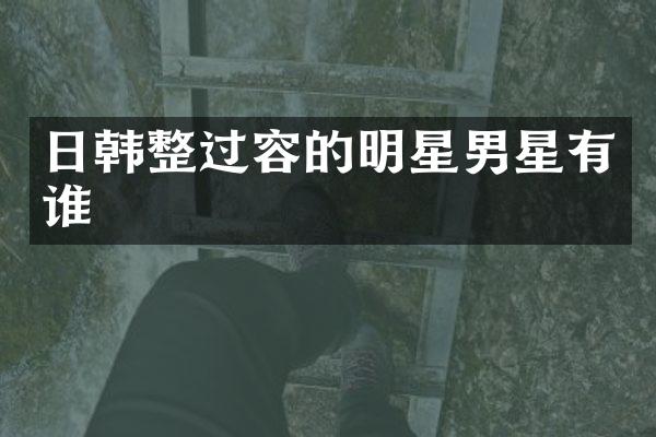 日韩整过容的明星男星有谁