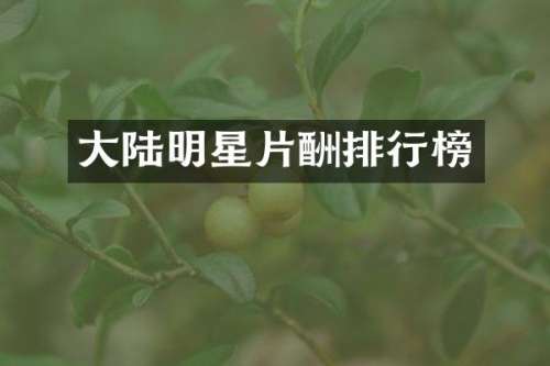 大陆明星片酬排行榜