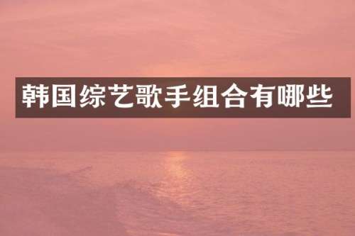 韩国综艺歌手组合有哪些