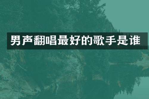 男声翻唱最好的歌手是谁