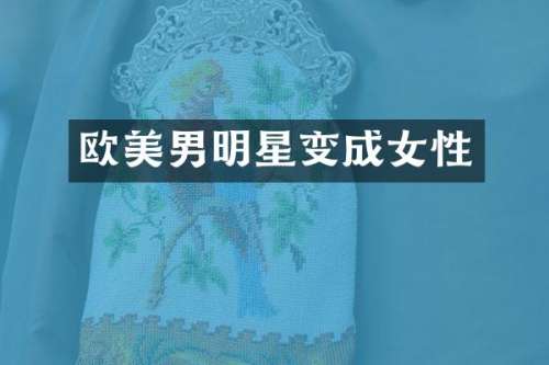 欧美男明星变成女性