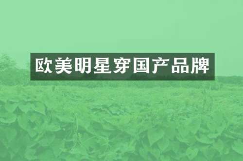 欧美明星穿国产品牌
