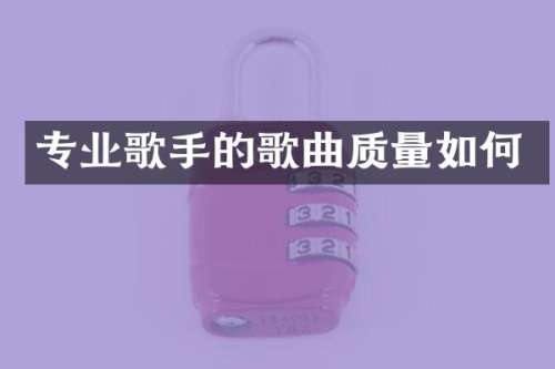 专业歌手的歌曲质量如何