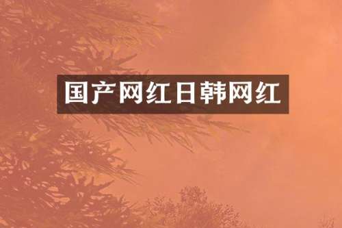 国产网红日韩网红