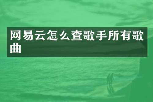 网易云怎么查歌手所有歌曲
