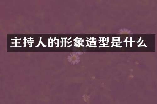 主持人的形象造型是什么