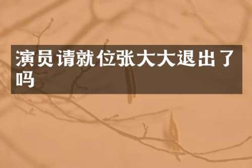 演员请就位张大大退出了吗
