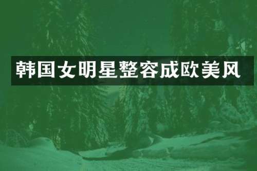韩国女明星整容成欧美风