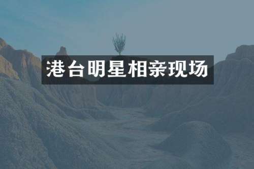 港台明星相亲现场