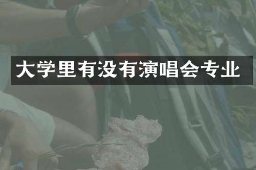 大学里有没有演唱会专业
