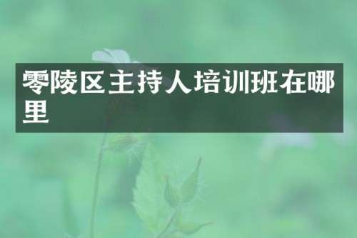 零陵区主持人培训班在哪里