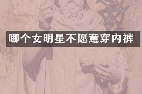 哪个女明星不愿意穿内裤