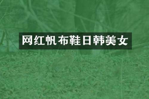 网红帆布鞋日韩