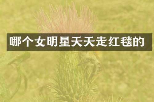 哪个女明星天天走红毯的
