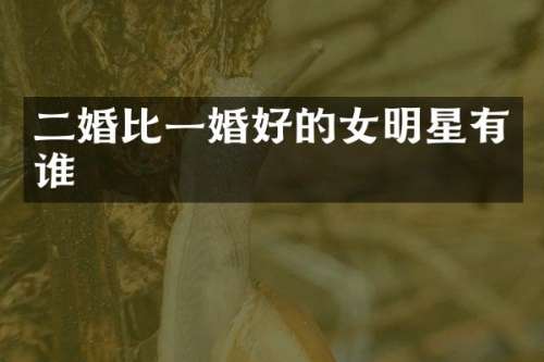 二婚比一婚好的女明星有谁