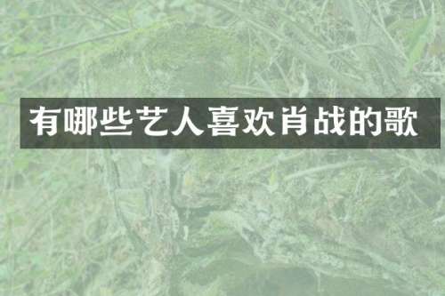 有哪些艺人喜欢肖战的歌