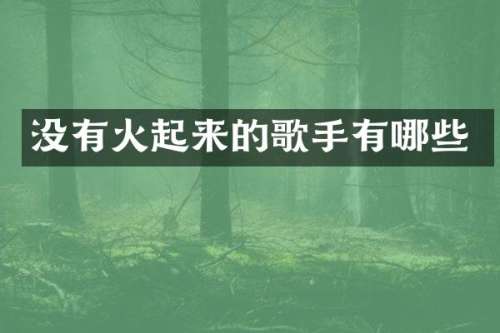 没有火起来的歌手有哪些