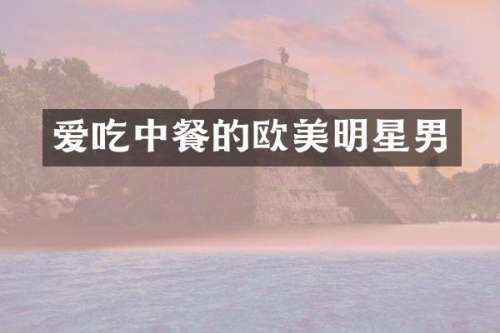 爱吃中餐的欧美明星男