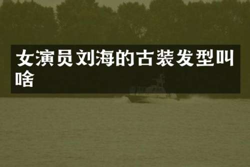 女演员刘海的古装发型叫啥