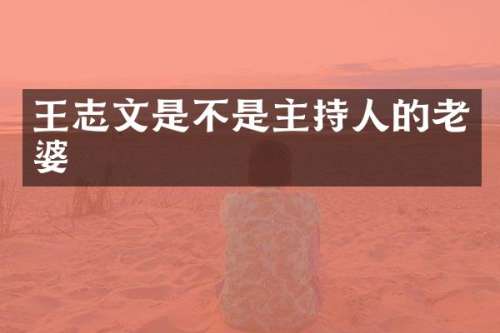 王志文是不是主持人的老婆