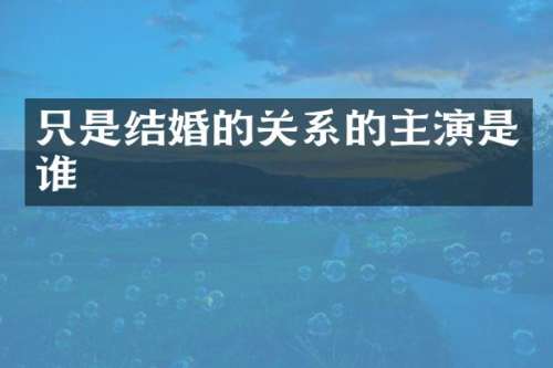 只是结婚的关系的主演是谁