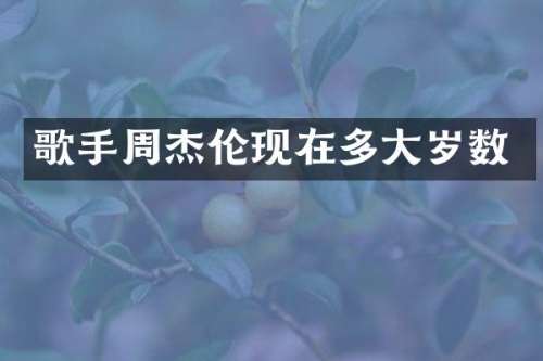 歌手周杰伦现在多大岁数