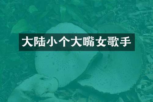 大陆小个大嘴女歌手