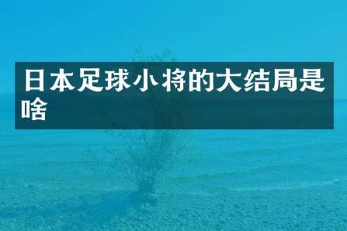 日本足球小将的大结局是啥
