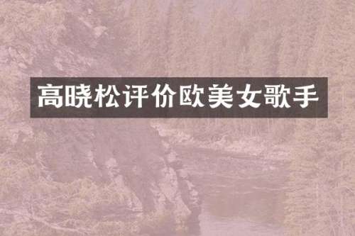 高晓松评价欧歌手