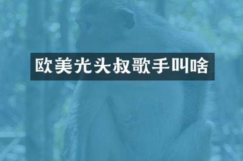 欧美光头叔歌手叫啥