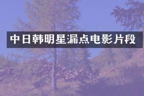 中日韩明星电影片段