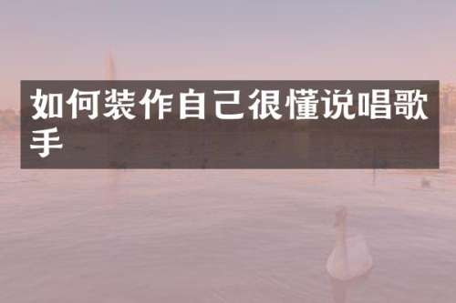 如何装作自己很懂说唱歌手