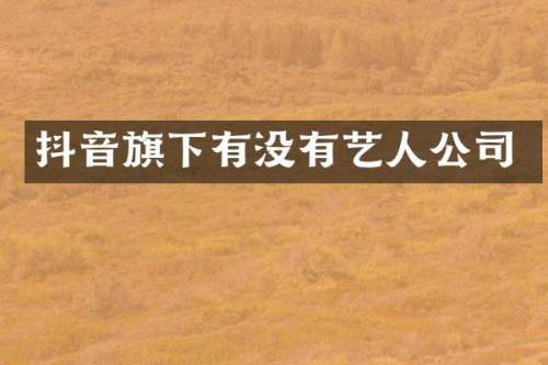 抖音旗下有没有艺人公司