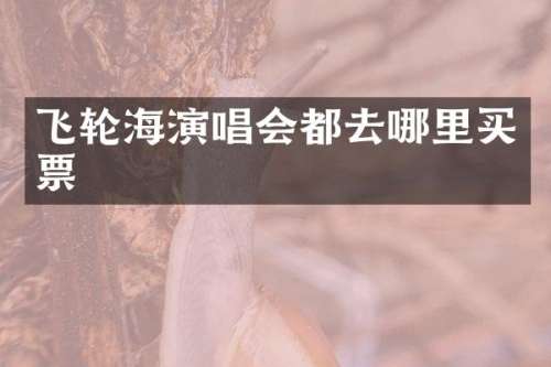 飞轮海演唱会都去哪里买票