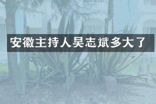 安徽主持人吴志斌多大了