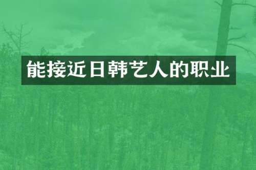 能接近日韩艺人的职业