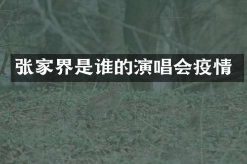 张家界是谁的演唱会疫情