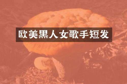 欧美黑人女歌手短发