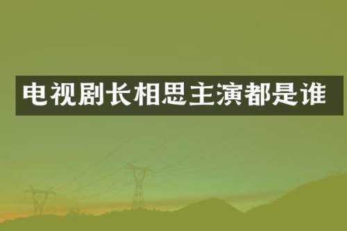 电视剧长相思主演都是谁
