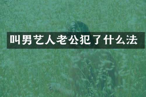 叫男艺人老公犯了什么法