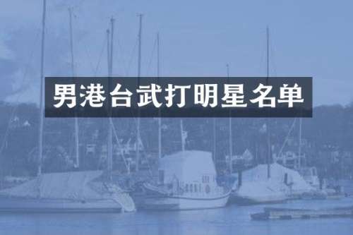 男港台武打明星名单
