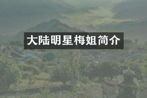 大陆明星梅姐简介