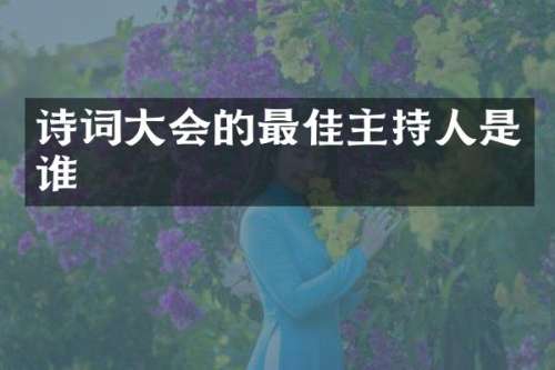 诗词大会的最佳主持人是谁