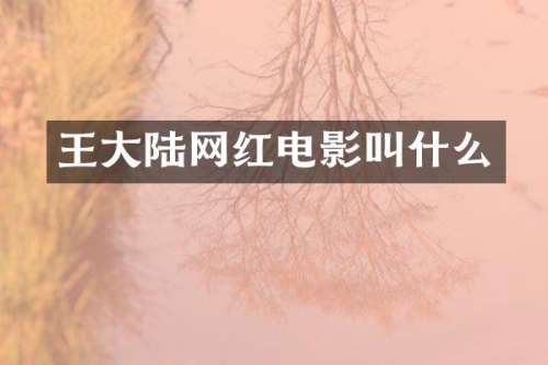 王大陆网红电影叫什么