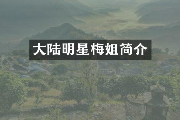 大陆明星梅姐简介