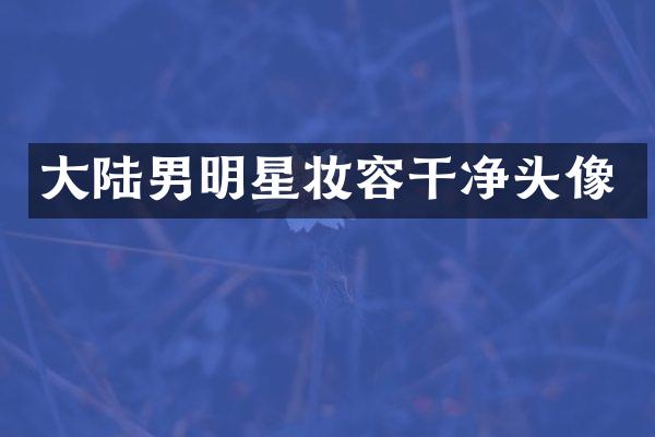 大陆男明星妆容干净头像