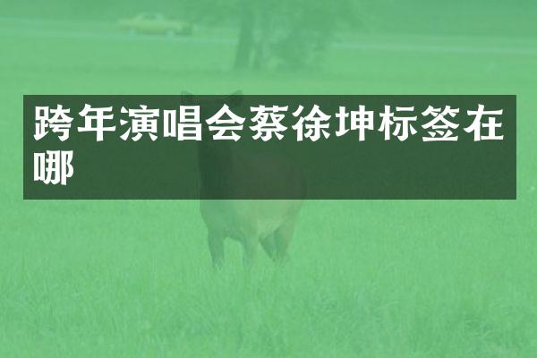 跨年演唱会蔡徐坤标签在哪